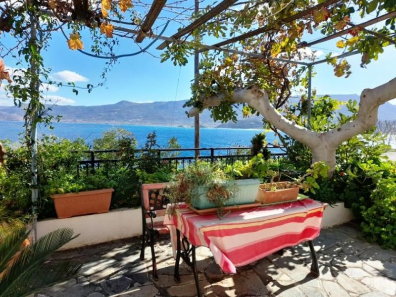 Sitia Ostkreta, Sitia: Haus mit Meerblick in Hafennähe zu verkaufen Haus kaufen